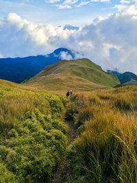 Woman on landscape against sky