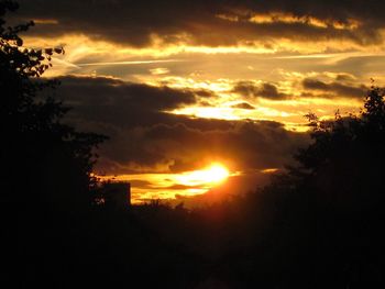 Silhouette of trees against cloudy sky