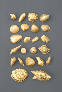 Gold coloured seashells collection.