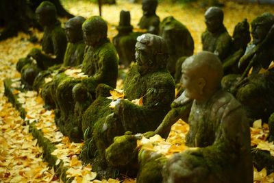 Kyoto sekizan zen-in temple in autumn leaves season