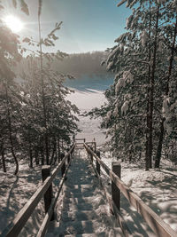 Scenic view of tree by mountains against sky