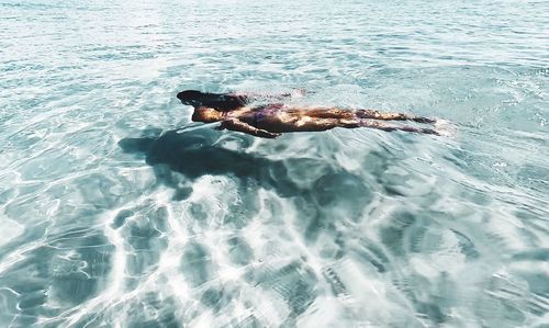 High angle view of man swimming in sea