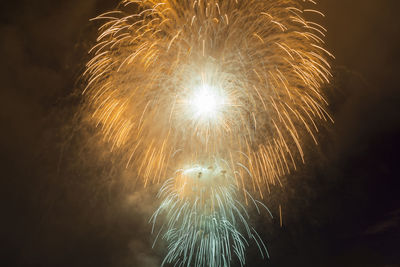 Low angle view of firework display at night