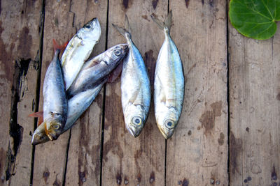 High angle view of fish on wood