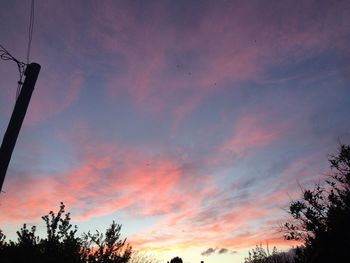 Low angle view of silhouette trees against sky at sunset