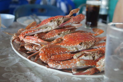 Close-up of fish for sale in market