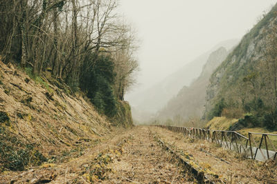 Dirt road amidst trees and mountains against sky