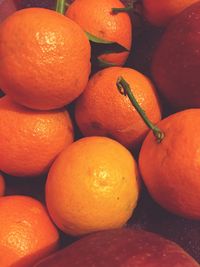 Full frame shot of oranges