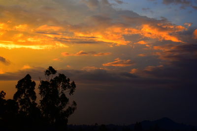 Silhouette trees against dramatic sky during sunset