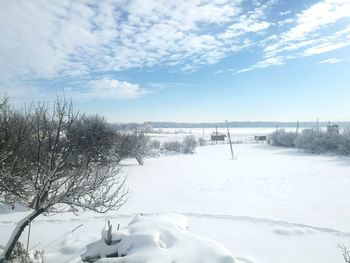 Scenic view of trees against sky during winter