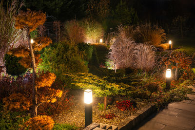 illuminated