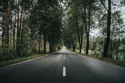 Road amidst trees