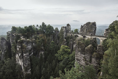 Panoramic view of trees on landscape against sky