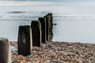 Wooden posts on beach against sky