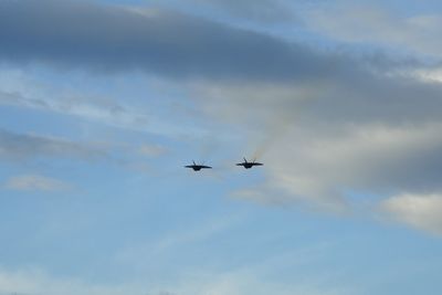 Low angle view of airplane flying in sky