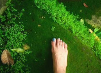 Low section of woman barefoot on moss