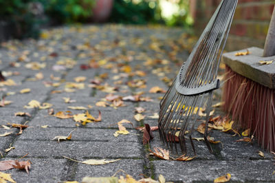 Close-up of gardening equipment with autumn leaves on footpath