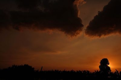 Silhouette trees against sky during sunset