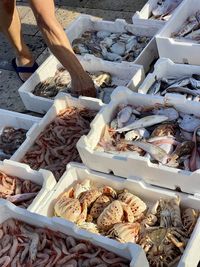 High angle view of fish for sale in market