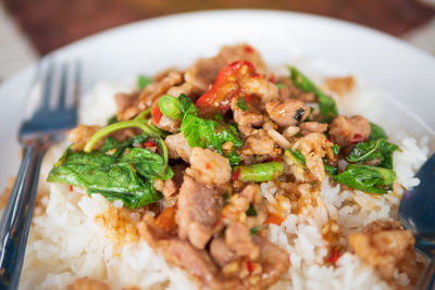 Close-up of meal served in plate