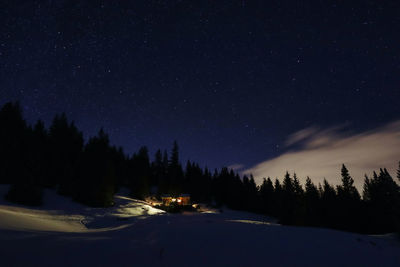 Low angle view of trees against sky at night