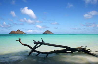 Scenic view of sea against blue sky