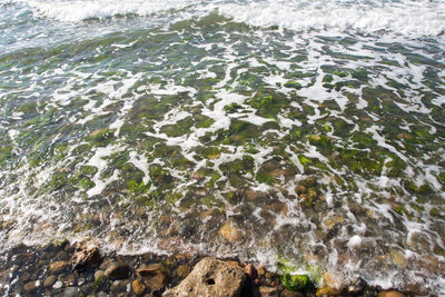 High angle view of rocks by sea