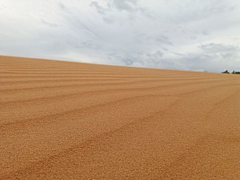 Scenic view of desert against sky