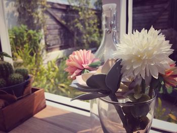 Close-up of potted plant on glass table