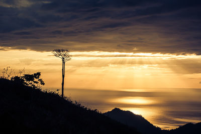 Scenic view of silhouette trees against sky during sunset