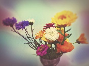 Close-up of yellow flowers