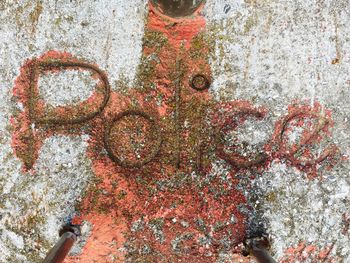 Close-up of red object