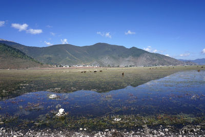 Scenic view of landscape and mountains against sky