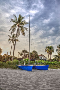 Palm trees on beach against sky