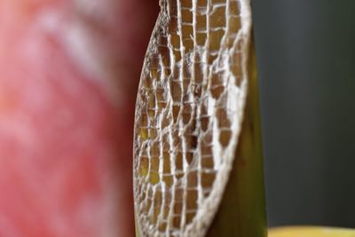 Close-up of coffee on table