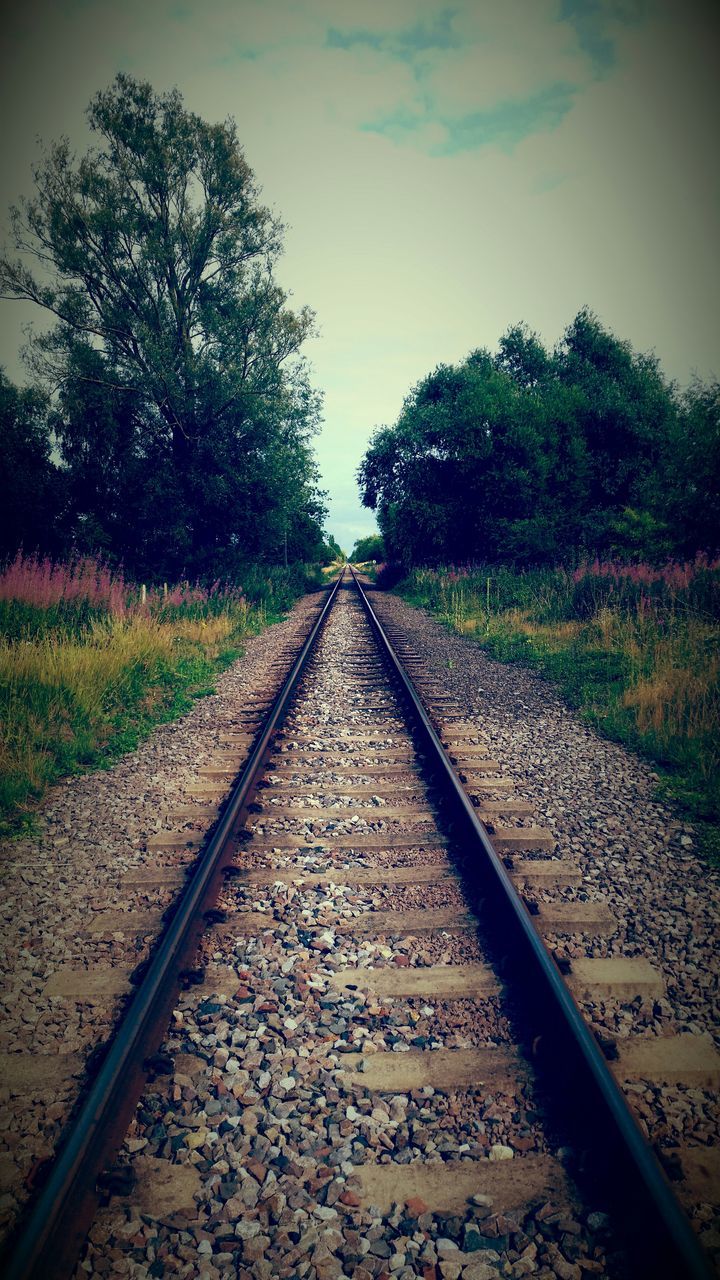 RAILROAD TRACKS ON RAILROAD TRACK