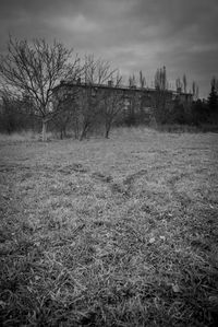 Bare trees on field against sky