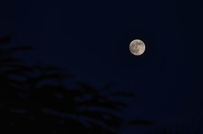 Low angle view of full moon in clear sky