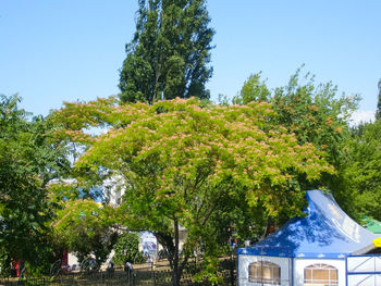 Low angle view of trees by building against clear blue sky