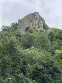 Low angle view of trees on mountain against sky