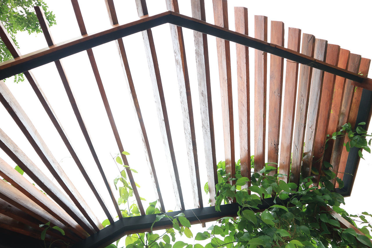 LOW ANGLE VIEW OF BAMBOO PLANTS BY FENCE