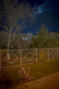 Trees against sky at night