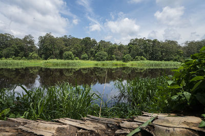 Scenic view of lake by trees against sky