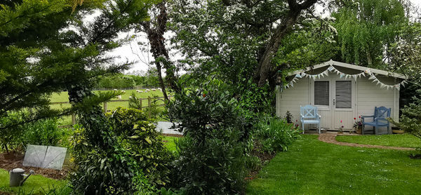 Trees and plants growing on field against building