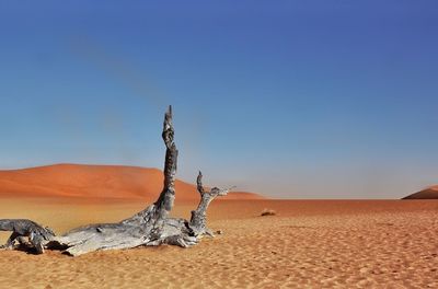 View of desert against blue sky