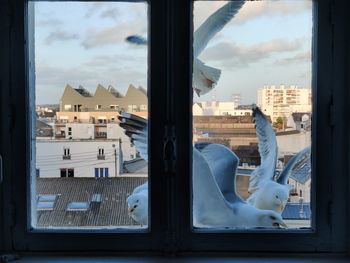 Buildings in city seen through glass window