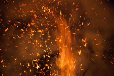 Close-up of firework display at night