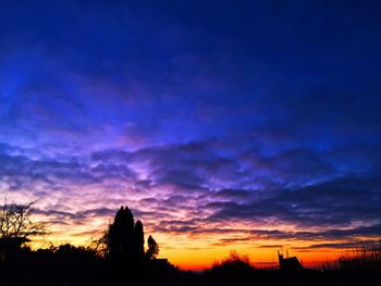 Silhouette of trees at sunset