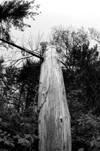 Low angle view of wooden post on field against sky