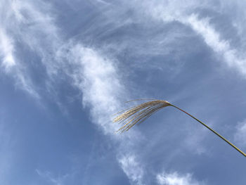 Low angle view of vapor trail against sky